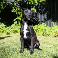 Photo of Lumen