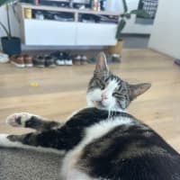 Photo of Blair Waldorf