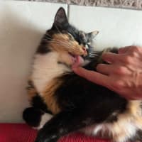 Photo of Willow And Jasper