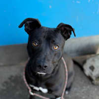 Photo of Storm