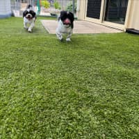 Photo of Bonded Sisters