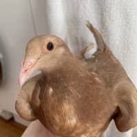 Photo of Reiner 