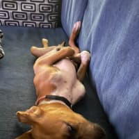 Photo of Kip