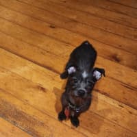 Photo of Chloe 