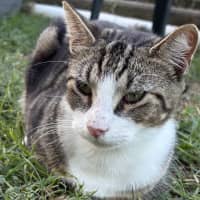 Photo of Apollo And Artemis