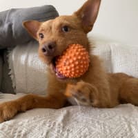 Photo of Harry 