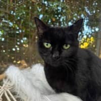 Photo of Molly