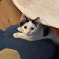 Photo of Hugh And Imogen 