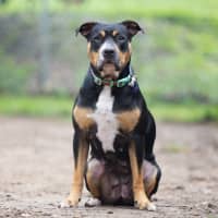 Photo of Marnie