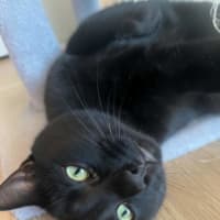 Photo of Ohgeesy