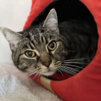 Photo of Jasper