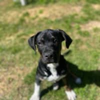 Photo of Wilbur