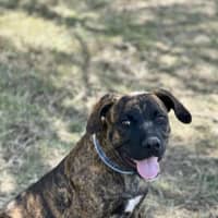 Photo of Bobby