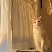 Photo of Rudolf 