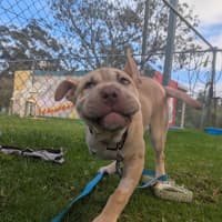 Photo of Beebee 