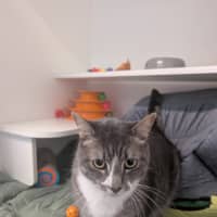 Photo of Sparkle