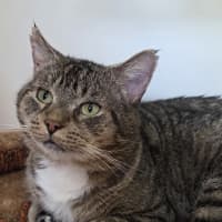 Photo of Lucius Klaassen