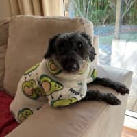 Photo of Greta And George