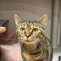 Photo of Nora