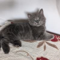 Photo of Storm