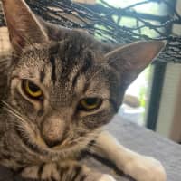 Photo of Leo And Raven❤️