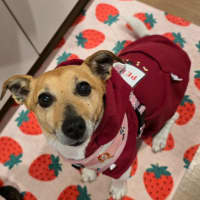 Photo of Moonpie