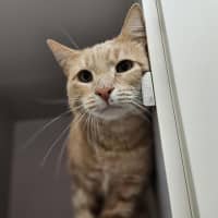 Photo of Bobby