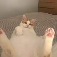 Photo of Clive