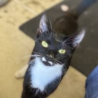 Photo of Edwina & Trixie