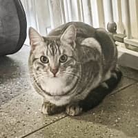 Photo of Cloud