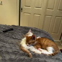 Photo of Wilbur