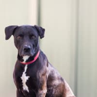 Photo of Benny