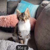 Photo of Meg