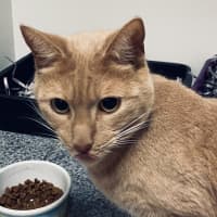 Photo of Esky