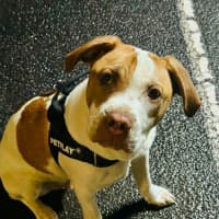 Photo of Ernie