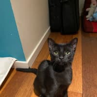 Photo of Bella