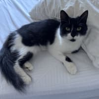 Photo of Bibi