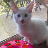 Photo of Sora