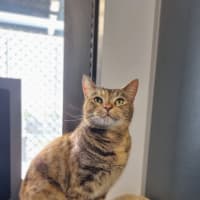 Photo of Eloise