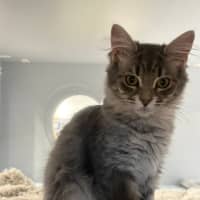 Photo of Aurora