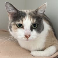 Photo of Elinor