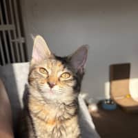 Photo of Francesca Moo