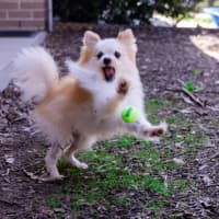 Photo of Bellatrix