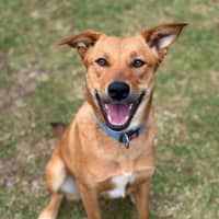 Photo of Thelma
