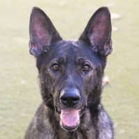 Photo of Arwen