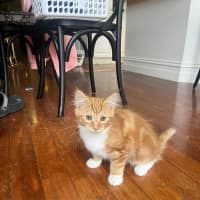 Photo of Dutchie