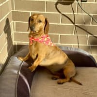 Photo of Benji And Saide