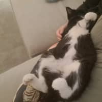 Photo of Donna Summer