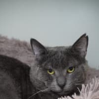 Photo of Sweetie Boy