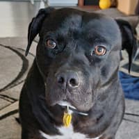 Photo of Tank